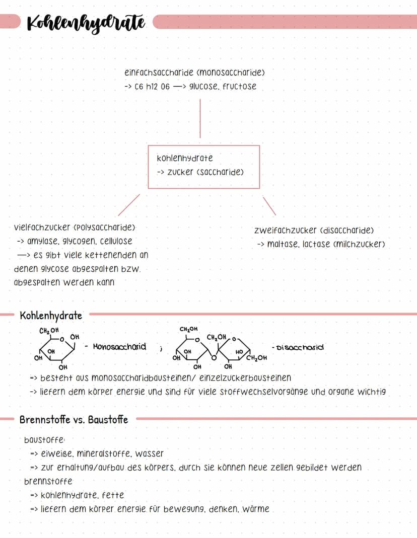 Proteine
-> Sind makromoleküle
-> aus kohlenstoff, wasserstoff, sauerstoff, Stickstoff, Schwefel
-> verleihen zellen struktur
-> katalysiere