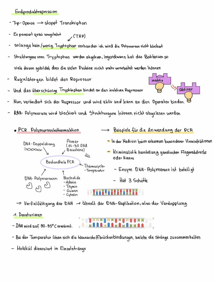 Mutationen
Mutation - Veränderung des Erbguts zB Downsyndrom
Chromosomenmutation
→ Struktur des Chromosomen
ist verändert
(zb. Chromosomen b