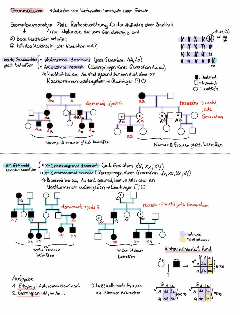 Mutationen
Mutation - Veränderung des Erbguts zB Downsyndrom
Chromosomenmutation
→ Struktur des Chromosomen
ist verändert
(zb. Chromosomen b