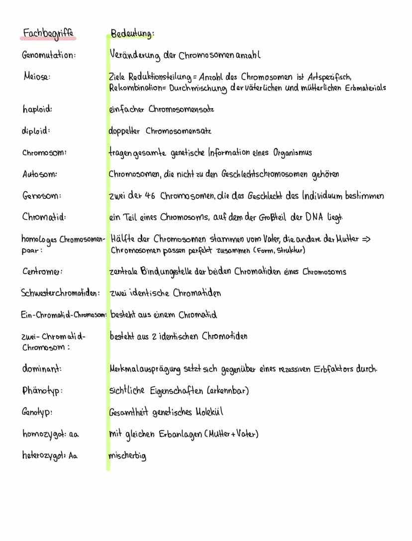 Mutationen
Mutation - Veränderung des Erbguts zB Downsyndrom
Chromosomenmutation
→ Struktur des Chromosomen
ist verändert
(zb. Chromosomen b