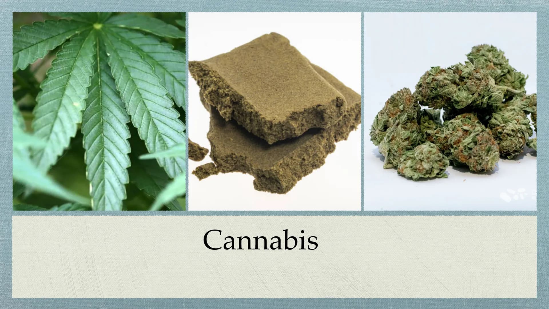 Cannabis Gliederung
Was sind Drogen?
• Cannabis - alles auf einem Blick
Unterteilung Cannabis in
●
Haschisch/Marihuana
●
Wirkung durch den S