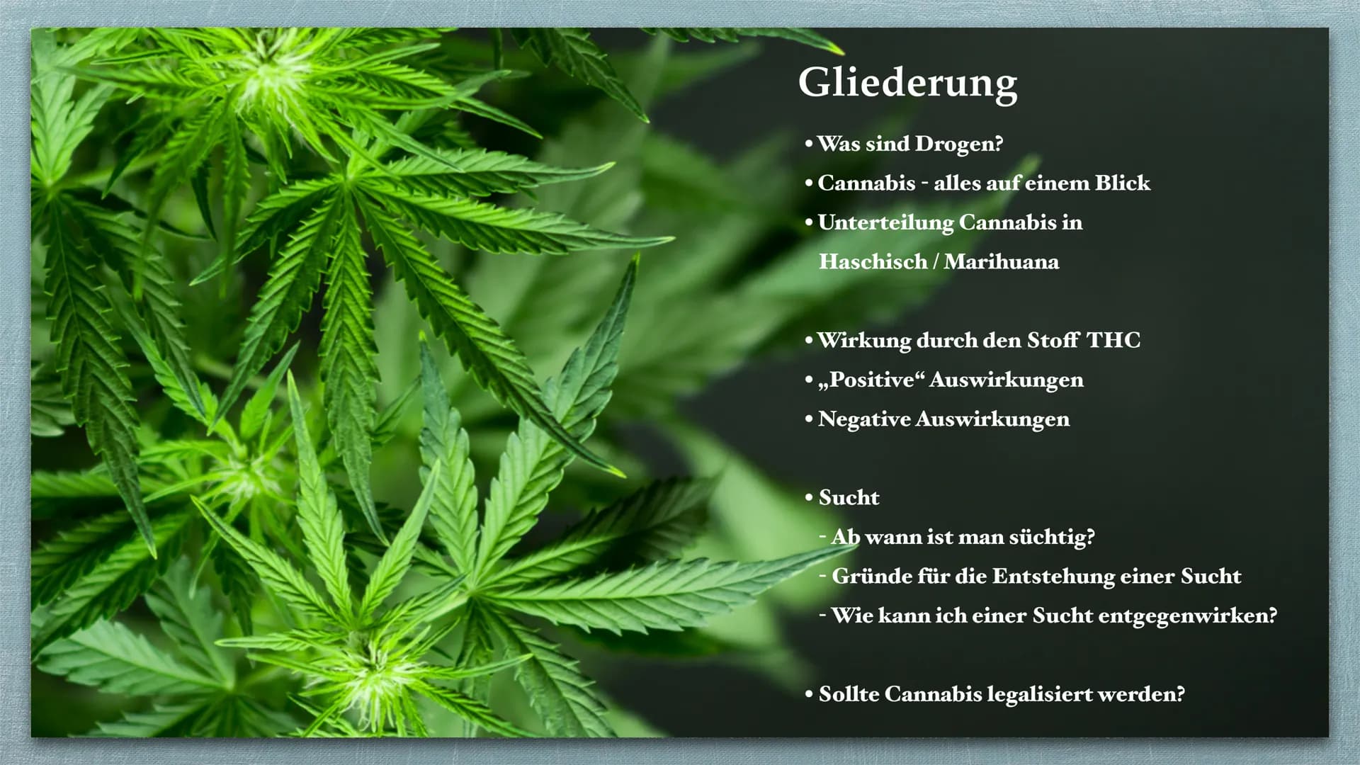Cannabis Gliederung
Was sind Drogen?
• Cannabis - alles auf einem Blick
Unterteilung Cannabis in
●
Haschisch/Marihuana
●
Wirkung durch den S