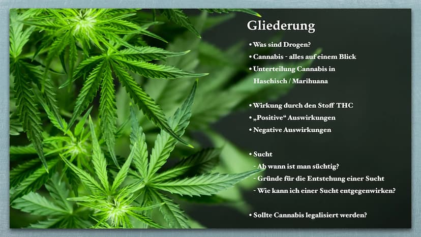 Cannabis Gliederung
Was sind Drogen?
• Cannabis - alles auf einem Blick
Unterteilung Cannabis in
●
Haschisch/Marihuana
●
Wirkung durch den S