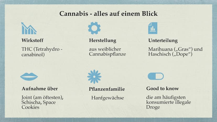Cannabis Gliederung
Was sind Drogen?
• Cannabis - alles auf einem Blick
Unterteilung Cannabis in
●
Haschisch/Marihuana
●
Wirkung durch den S