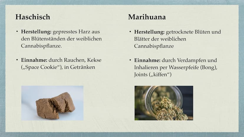 Cannabis Gliederung
Was sind Drogen?
• Cannabis - alles auf einem Blick
Unterteilung Cannabis in
●
Haschisch/Marihuana
●
Wirkung durch den S