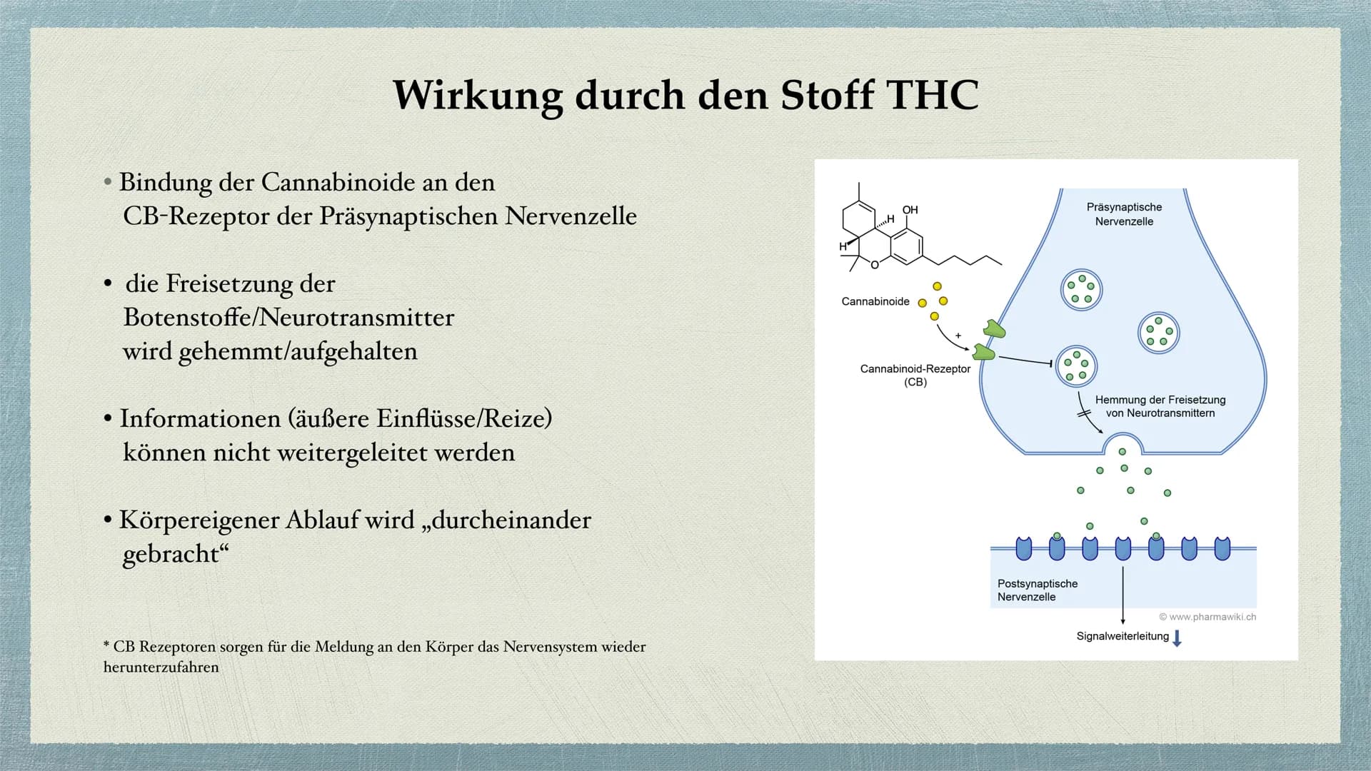 Cannabis Gliederung
Was sind Drogen?
• Cannabis - alles auf einem Blick
Unterteilung Cannabis in
●
Haschisch/Marihuana
●
Wirkung durch den S