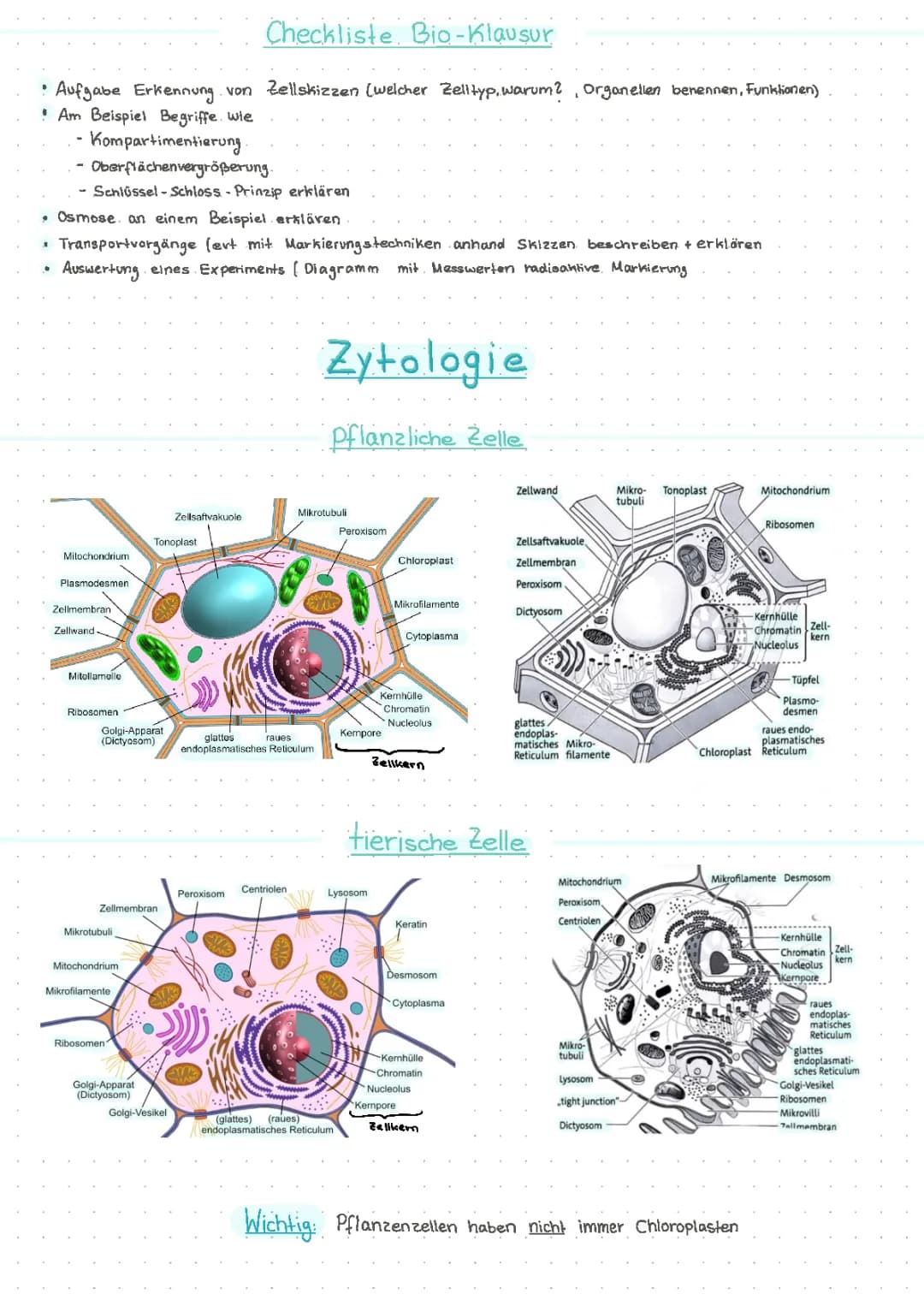 Zytologie 