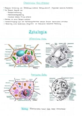 Know Zytologie  thumbnail