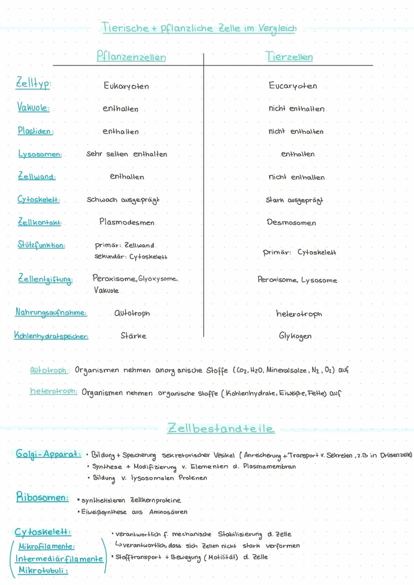 ●
Checkliste Bio-Klausur
Aufgabe Erkennung von Zellskizzen (welcher Zelltyp, warum? Organellen benennen, Funktionen)
Am Beispiel Begriffe wi