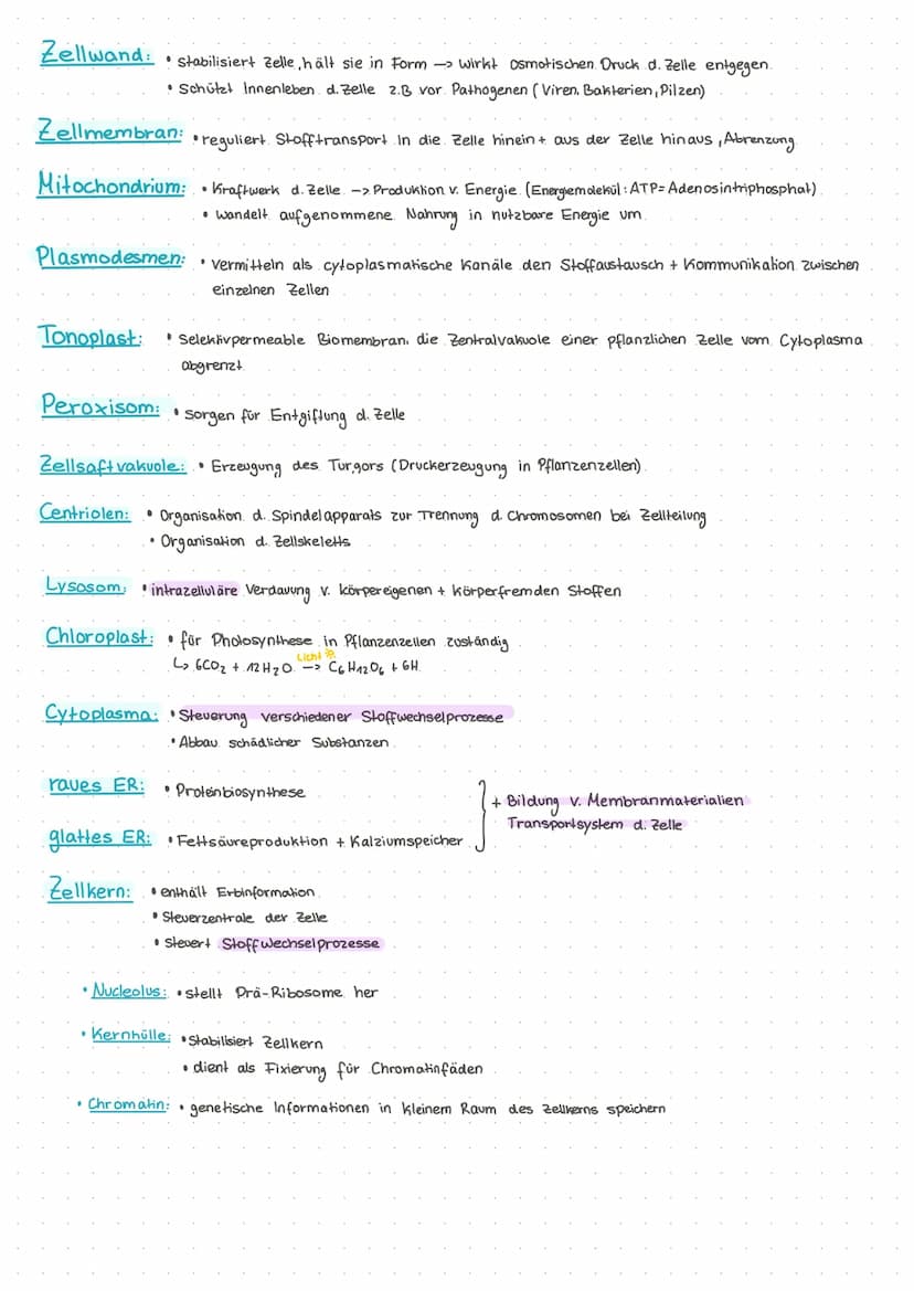 ●
Checkliste Bio-Klausur
Aufgabe Erkennung von Zellskizzen (welcher Zelltyp, warum? Organellen benennen, Funktionen)
Am Beispiel Begriffe wi
