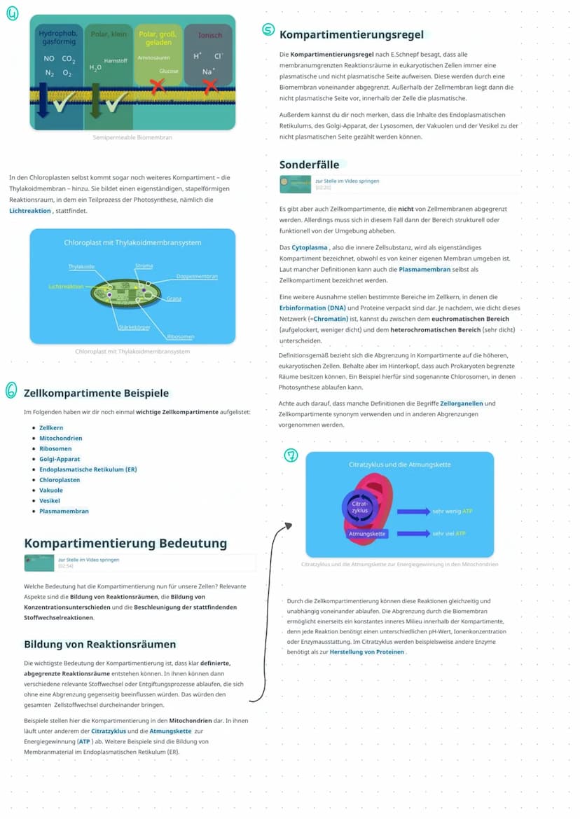 ●
Checkliste Bio-Klausur
Aufgabe Erkennung von Zellskizzen (welcher Zelltyp, warum? Organellen benennen, Funktionen)
Am Beispiel Begriffe wi