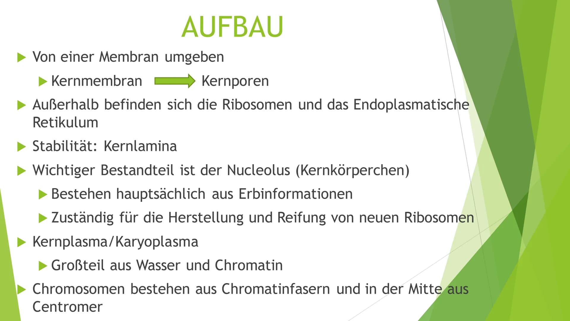 ZELLKERN
Eine Präsentation von und Ilinca
Michels INHALT
►Allgemeines
► Aufbau
Funktion
Kernteilung
Quellen Allgemeines
zuerst entdecktes Or