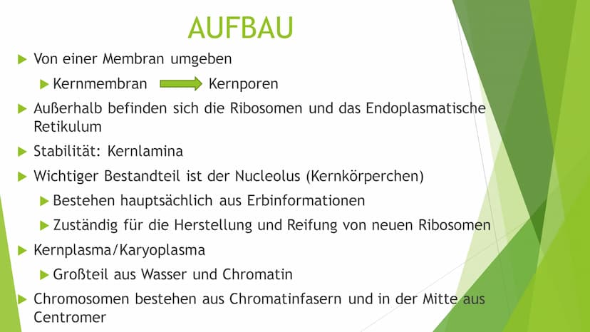 ZELLKERN
Eine Präsentation von und Ilinca
Michels INHALT
►Allgemeines
► Aufbau
Funktion
Kernteilung
Quellen Allgemeines
zuerst entdecktes Or