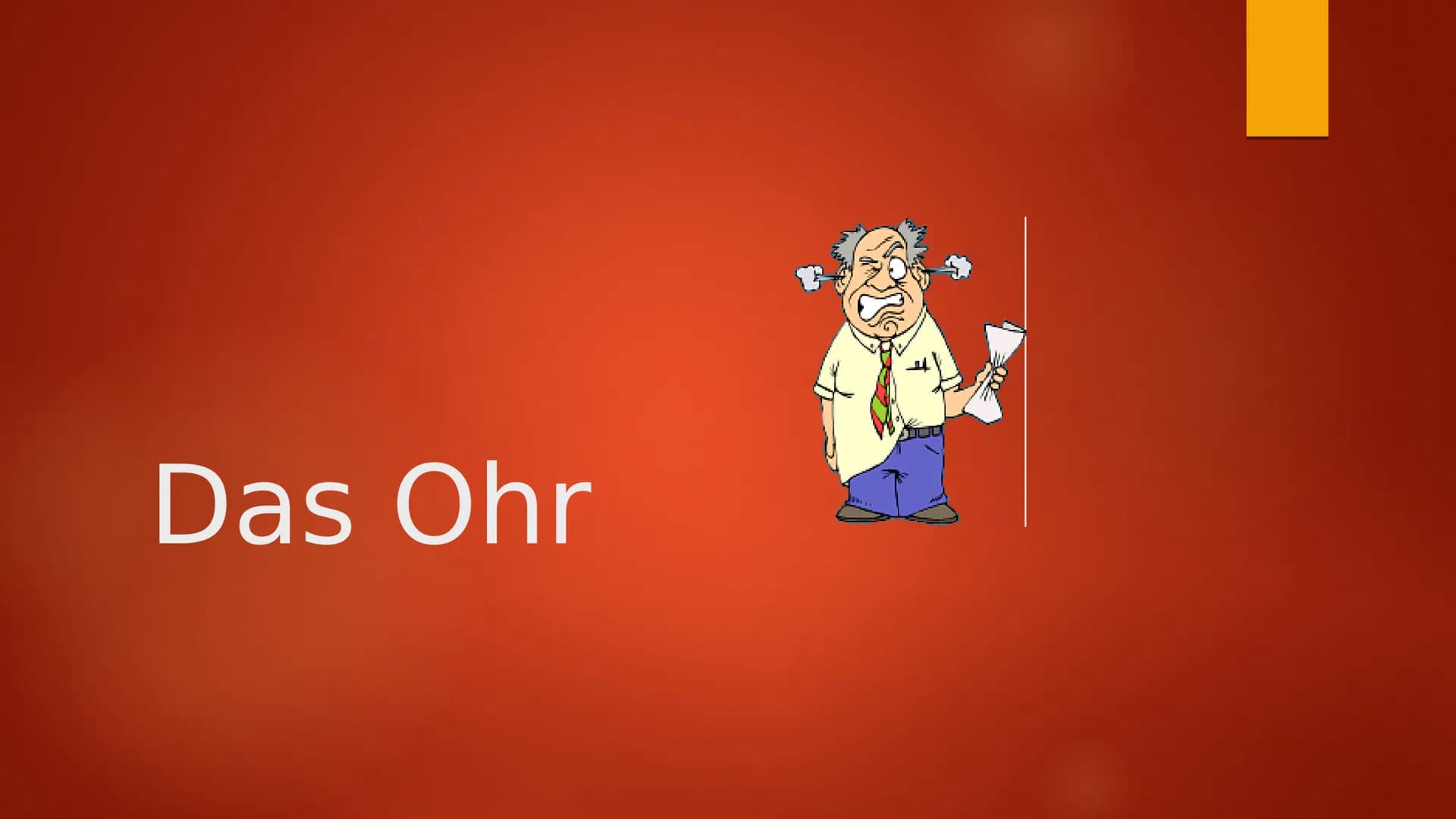 Das Ohr Inhaltsverzeichnis
Informationen zum Ohr
Das Ohr
Innen Ohr Informationen zum Ohr
Durch Luft wird Schall zum Ohr getragen und gelangt