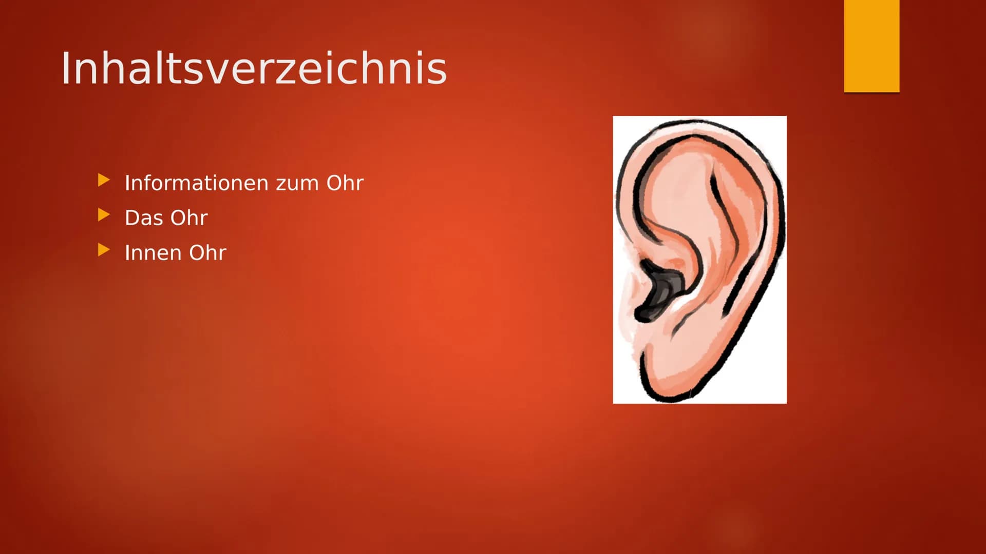 Das Ohr Inhaltsverzeichnis
Informationen zum Ohr
Das Ohr
Innen Ohr Informationen zum Ohr
Durch Luft wird Schall zum Ohr getragen und gelangt