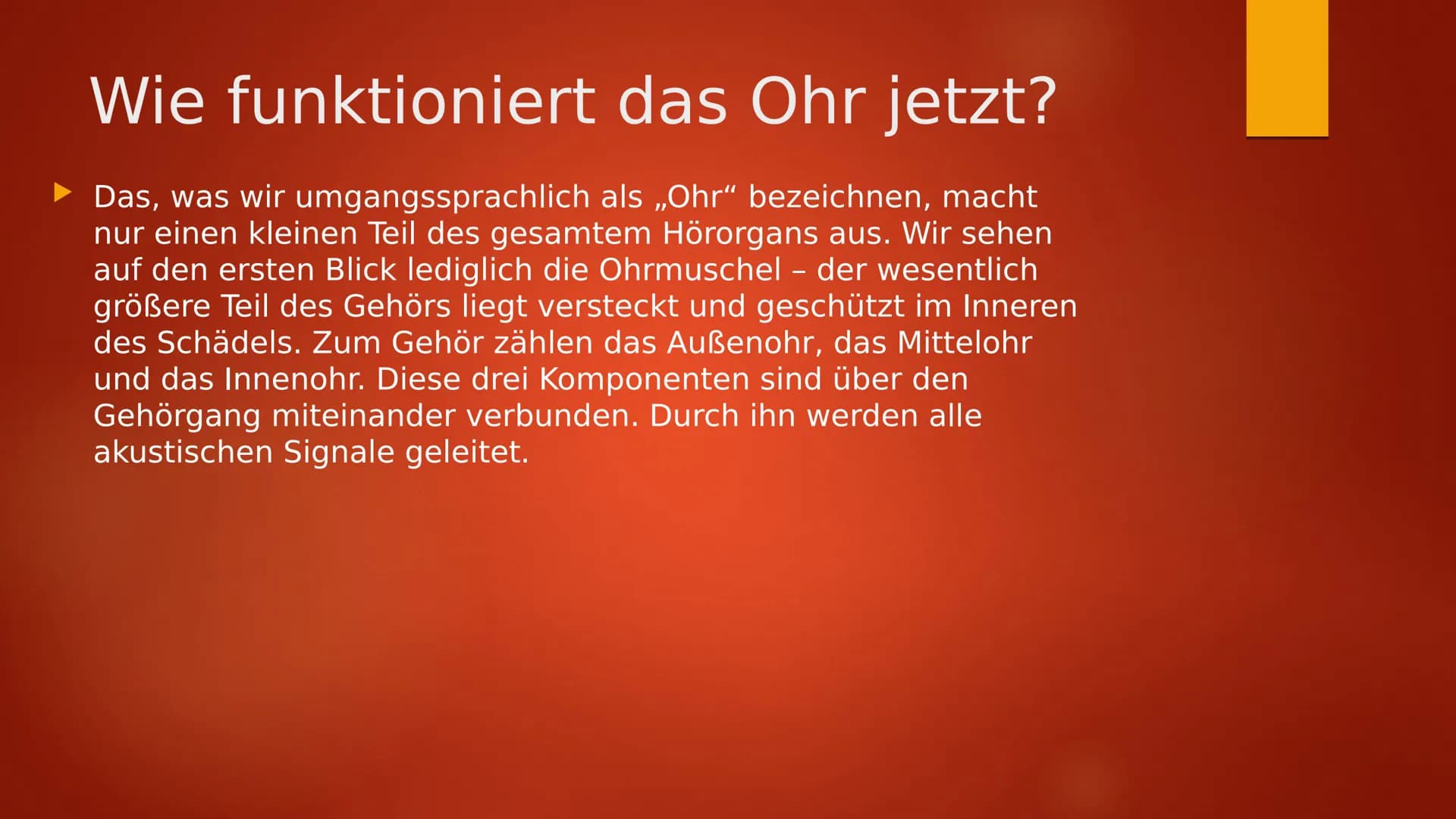 Das Ohr Inhaltsverzeichnis
Informationen zum Ohr
Das Ohr
Innen Ohr Informationen zum Ohr
Durch Luft wird Schall zum Ohr getragen und gelangt