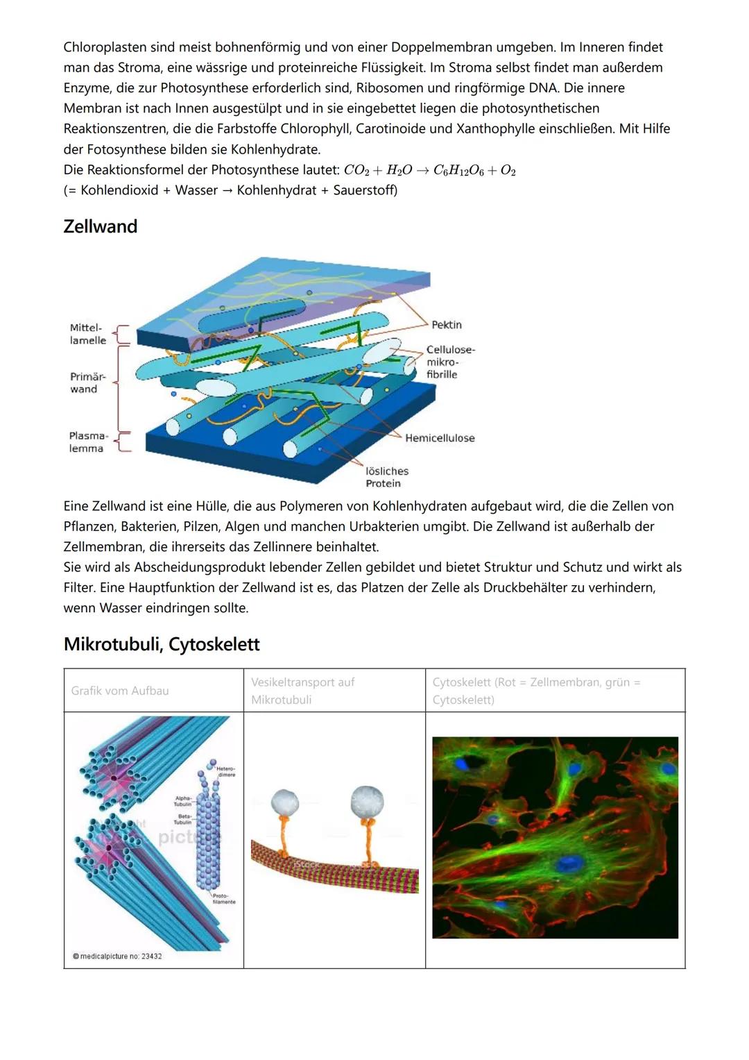 # Themen

- Kennzeichen des Lebens
- Zellorganellen
- Vergleich Zelltypen
- Endosymbiontentheorie
- Zellmembran

# Kennzeichen des Lebens

-