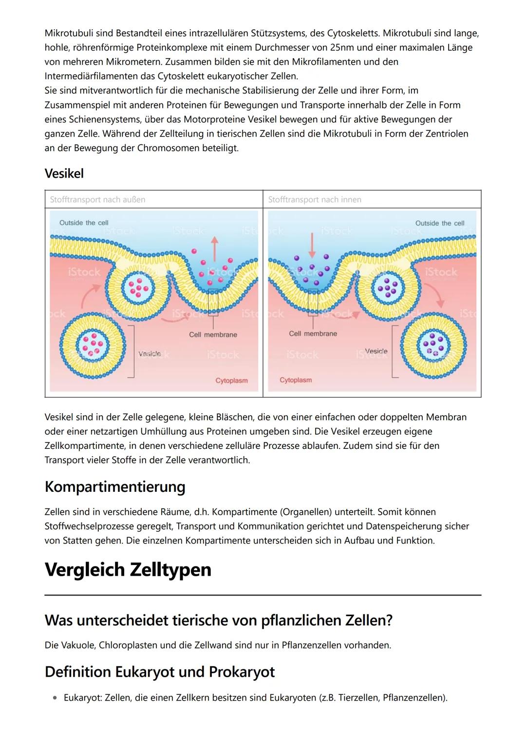 # Themen

- Kennzeichen des Lebens
- Zellorganellen
- Vergleich Zelltypen
- Endosymbiontentheorie
- Zellmembran

# Kennzeichen des Lebens

-