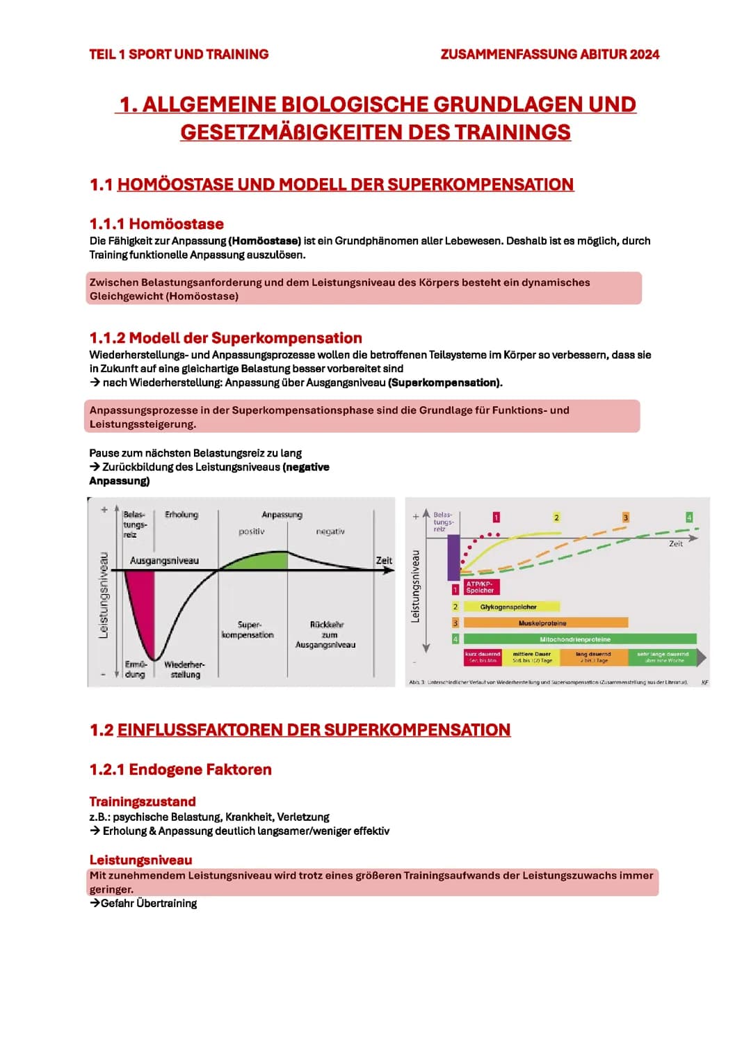 1. ALLGEMEINE BIOLOGISCHE GRUNDLAGEN UND GESETZMÄßIGKEITEN DES TRAININGS