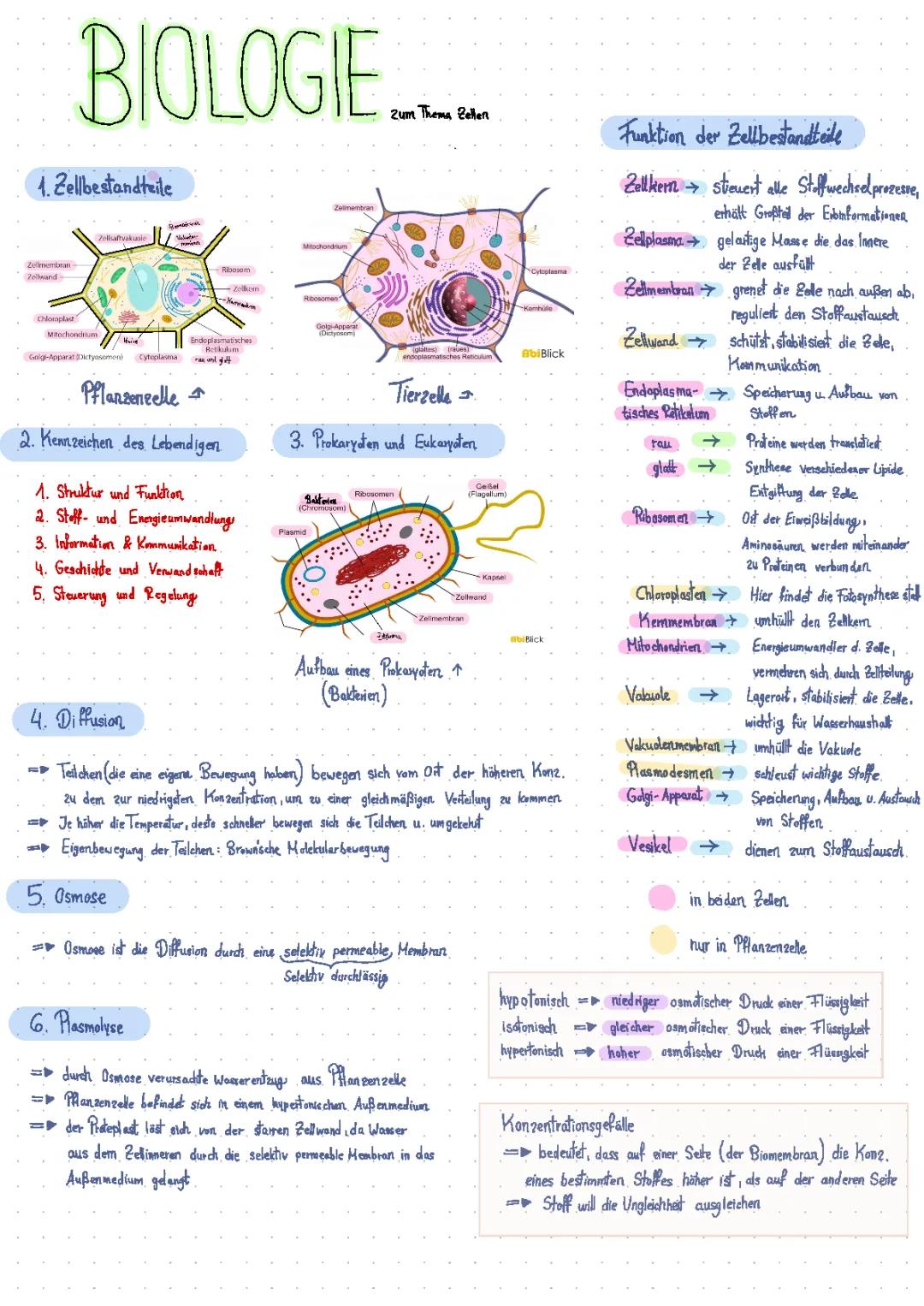 Biologie- Thema Zellen