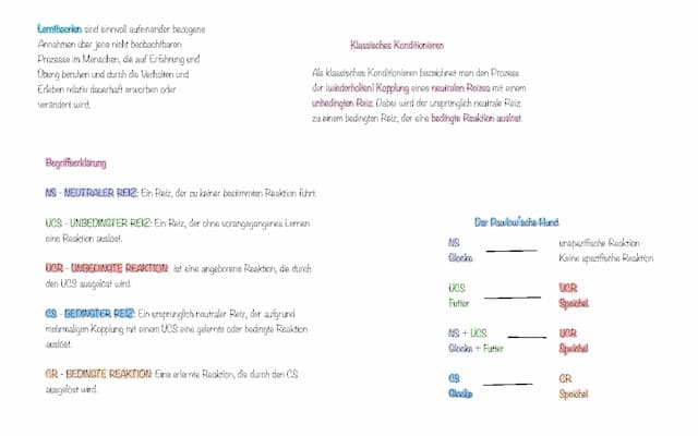 Know Klassisches Konditionieren  thumbnail
