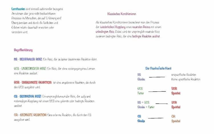 Know Klassisches Konditionieren  thumbnail