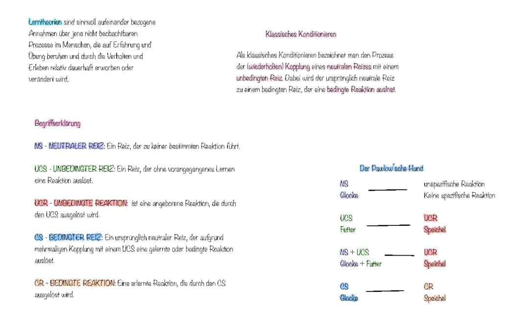 Klassisches Konditionieren 