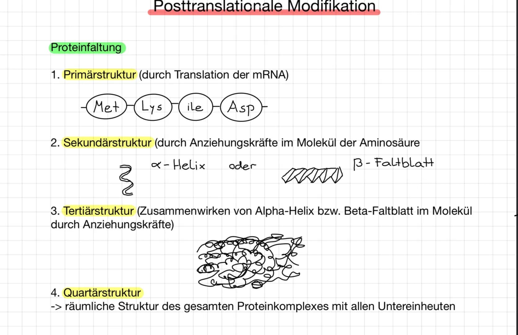 Proteinfaltung
1. Primärstruktur (durch Translation der mRNA)
Asp
Met
Posttranslationale Modifikation
}
Lys
ile
2. Sekundärstruktur (durch A