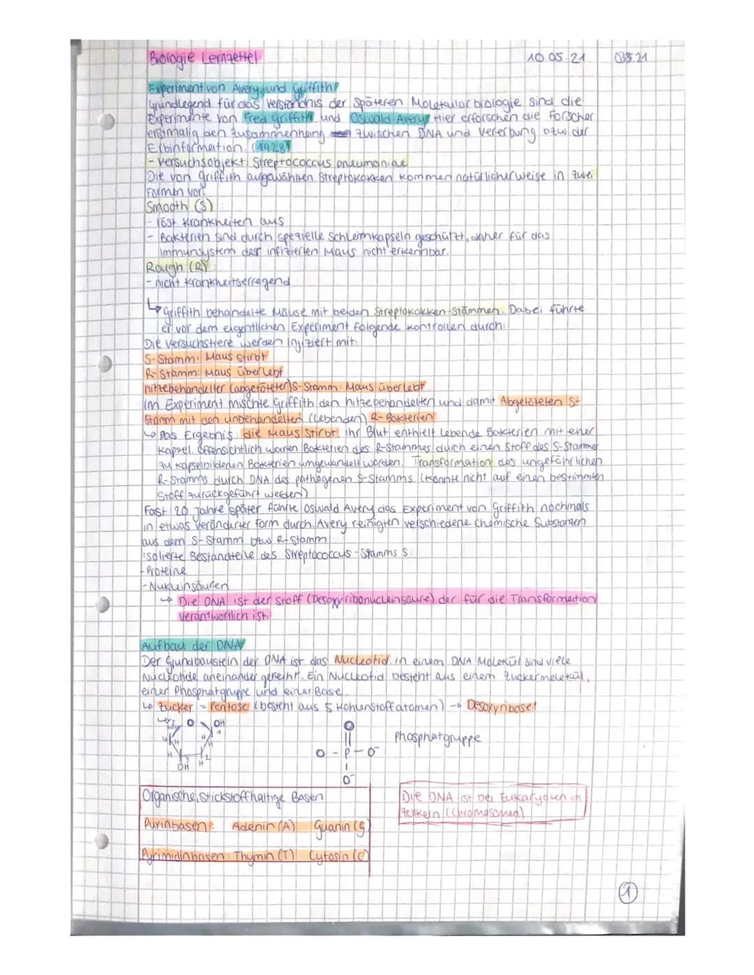 Biologie Lernzettel
Experiment von Avery sound Griffiths
Grundlegend für das Verständnis der Späteren Molekular biologie sind die
Experiment