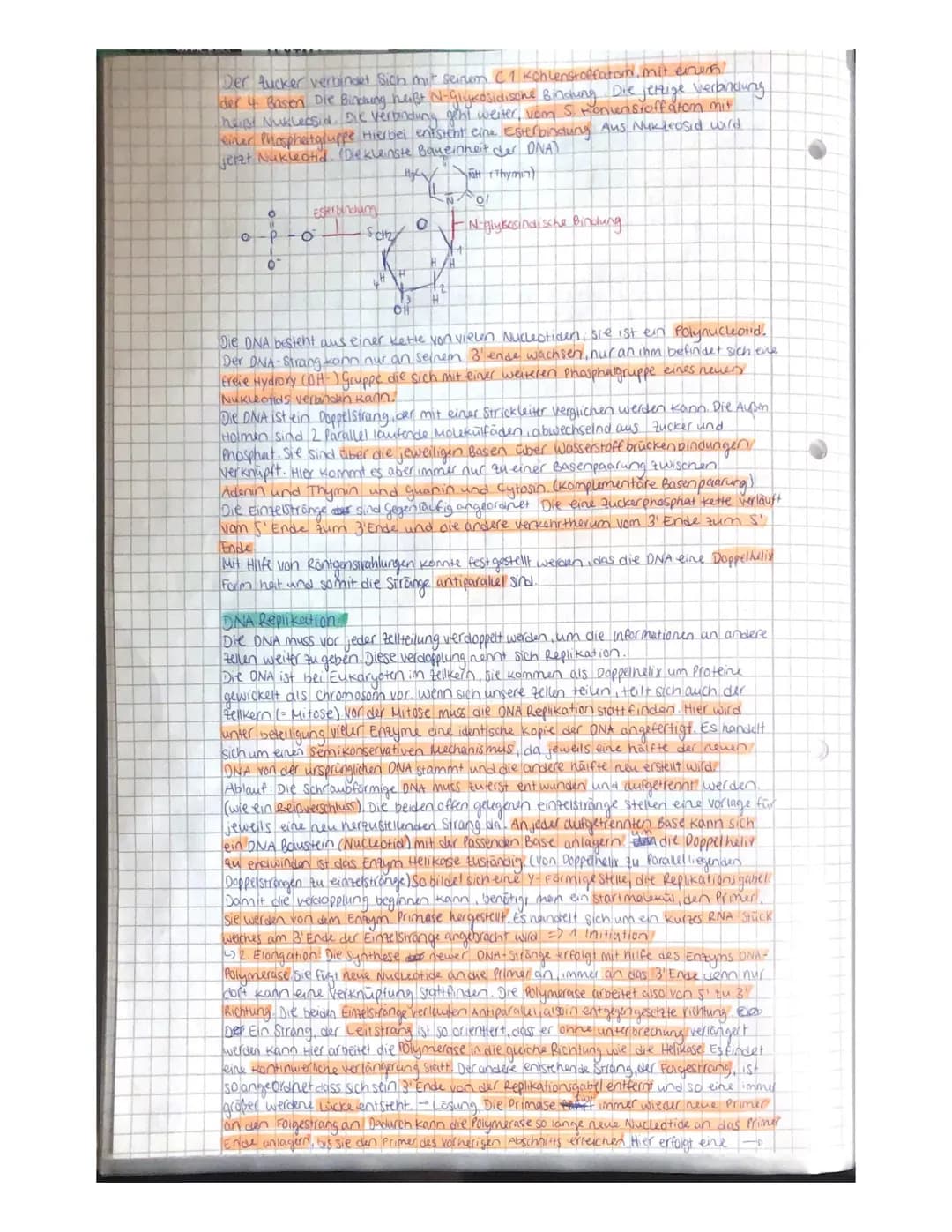 Biologie Lernzettel
Experiment von Avery sound Griffiths
Grundlegend für das Verständnis der Späteren Molekular biologie sind die
Experiment
