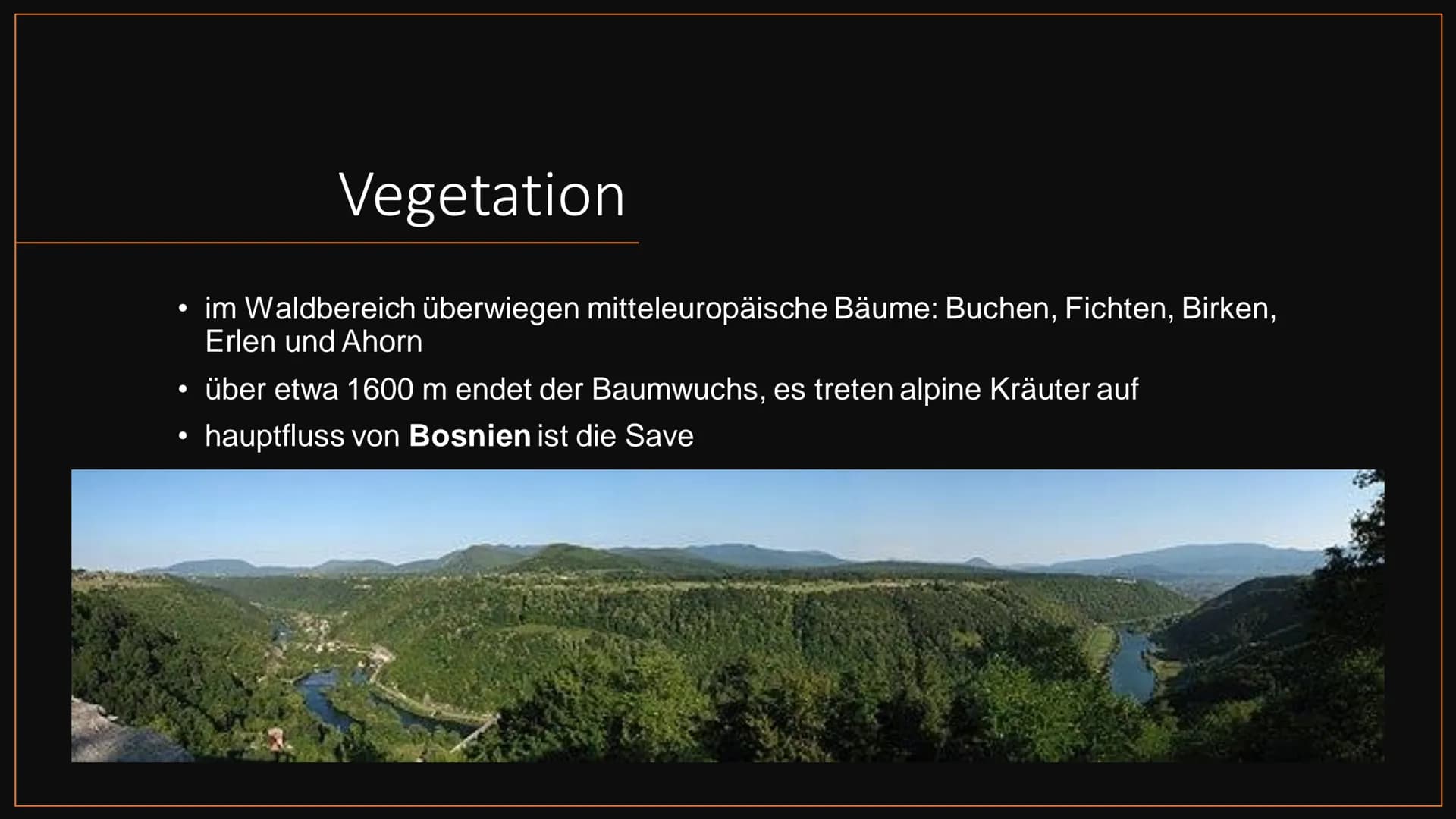 Bosnien und
Herzegowina
von ... Übersicht
Allgemeines
- Geschichte Bosniens
-
- Geographie
· Klima
- Vegetation
- Bosnienkrieg
Sehenswürdigk
