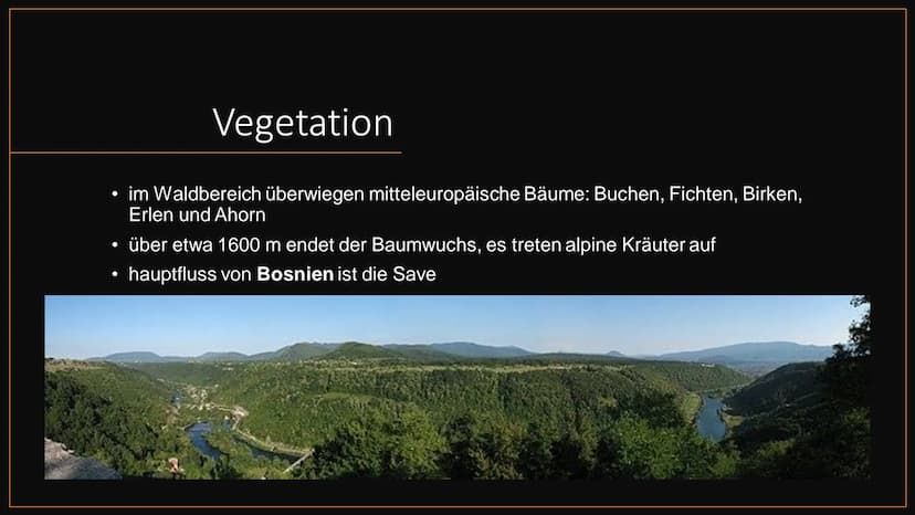 Bosnien und
Herzegowina
von ... Übersicht
Allgemeines
- Geschichte Bosniens
-
- Geographie
· Klima
- Vegetation
- Bosnienkrieg
Sehenswürdigk