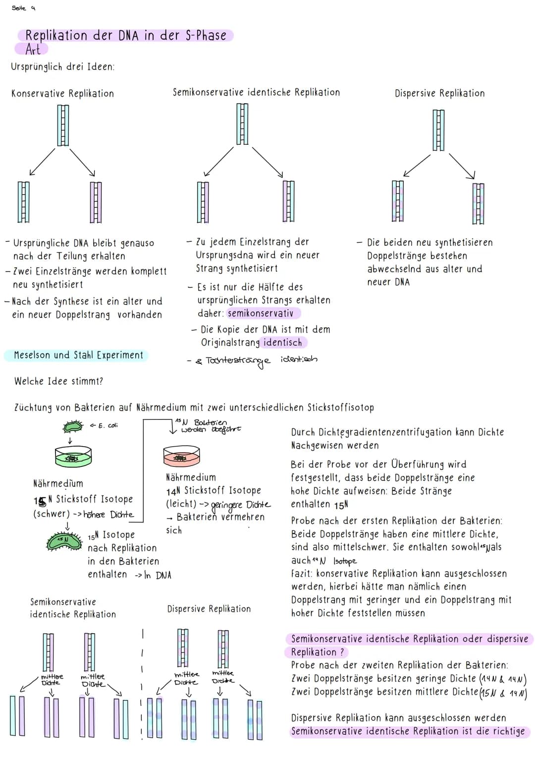 Seite 1
G-E-N-E-T-I-K-
E-N-1
Nachweisexperimente:
Streptokokkenversuch von Griffith:
I
Zwei verschiedene Varianten des Bakteriums Streptococ