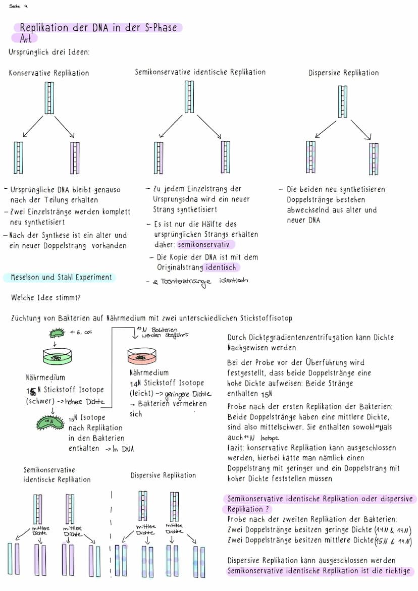 Seite 1
G-E-N-E-T-I-K-
E-N-1
Nachweisexperimente:
Streptokokkenversuch von Griffith:
I
Zwei verschiedene Varianten des Bakteriums Streptococ
