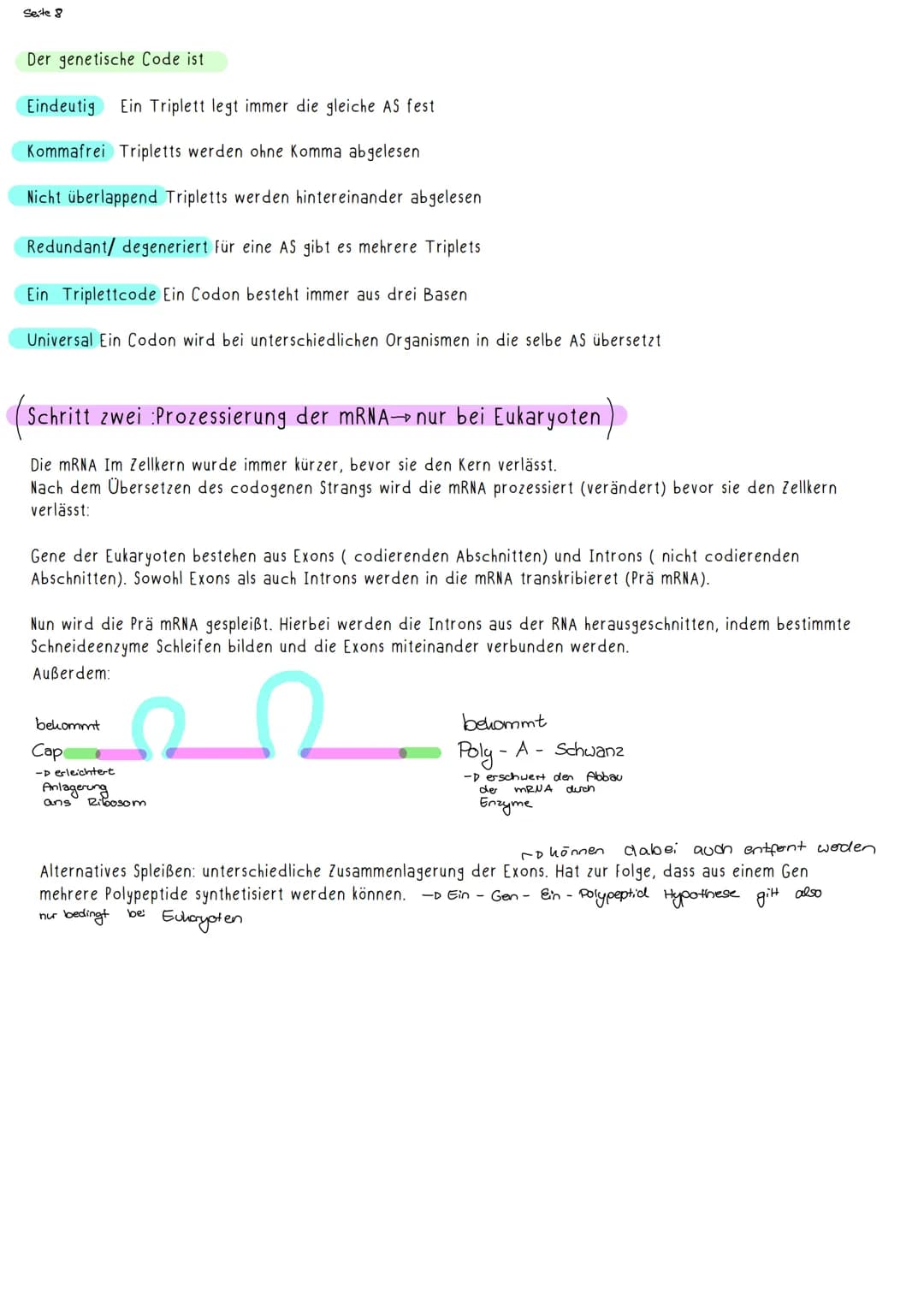Seite 1
G-E-N-E-T-I-K-
E-N-1
Nachweisexperimente:
Streptokokkenversuch von Griffith:
I
Zwei verschiedene Varianten des Bakteriums Streptococ