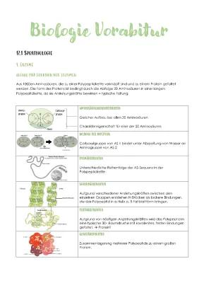 Know Vorabitur Biologie Lernzettel  thumbnail