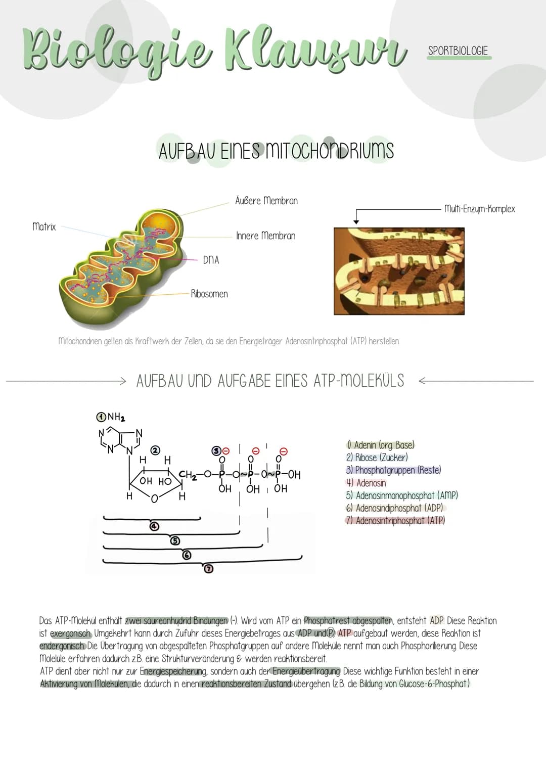 12.1 SPORTBIOLOGIE
1. ENZYME
Biologie Vorabitur
AUFBAU UND FUNKTION VON ENZYMEN
Aus 1000en Aminosäuren, die zu einer Polypeptidkette verknüp
