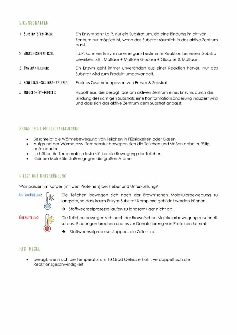 12.1 SPORTBIOLOGIE
1. ENZYME
Biologie Vorabitur
AUFBAU UND FUNKTION VON ENZYMEN
Aus 1000en Aminosäuren, die zu einer Polypeptidkette verknüp