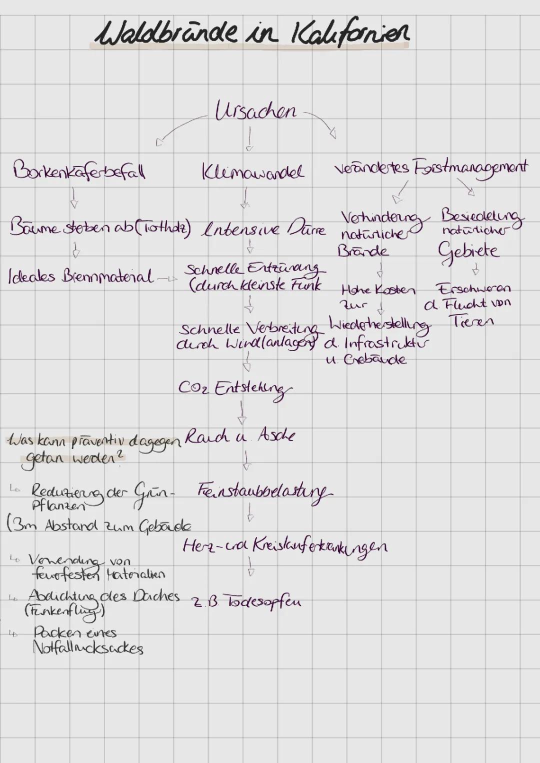Klimawandel - Waldbrände in Kalifornien