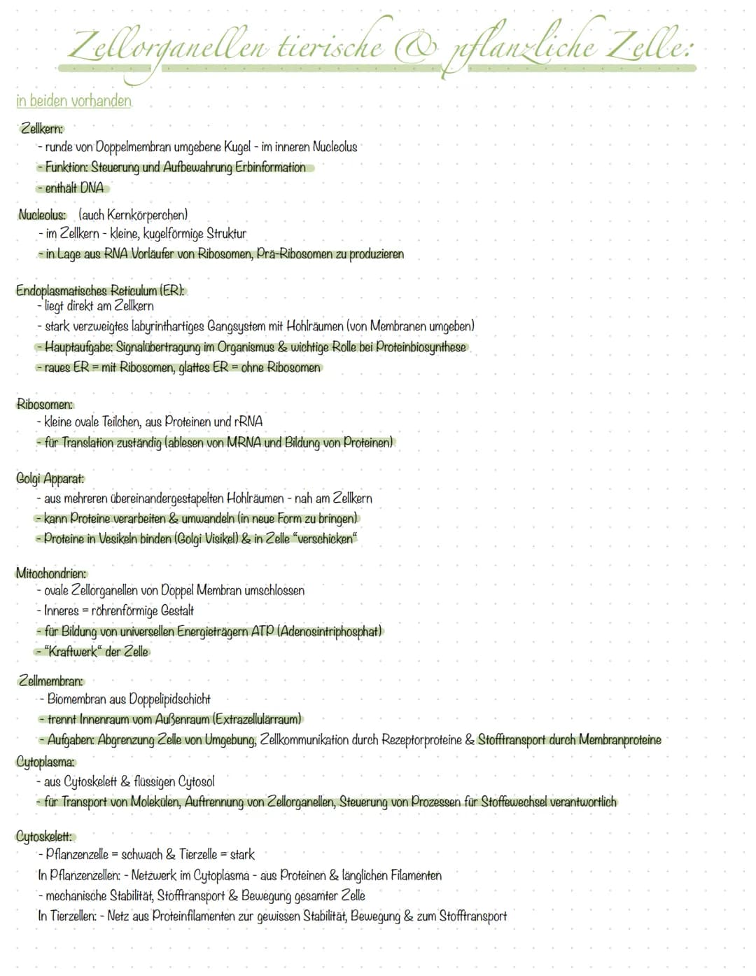 Inhali
S.2 Aufbau Tier- und Pflanzenzelle
S.3 Zellorganellen tierische & pflanzliche Zelle
S.4 Vergleich tierische & pflanzliche Zelle
S.5 K