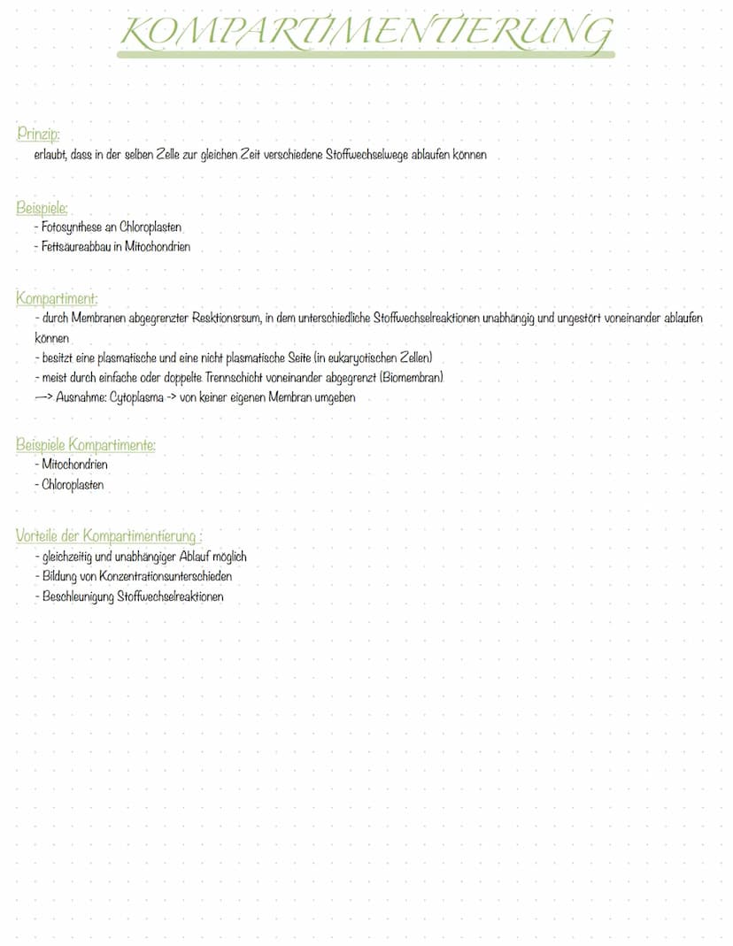 Inhali
S.2 Aufbau Tier- und Pflanzenzelle
S.3 Zellorganellen tierische & pflanzliche Zelle
S.4 Vergleich tierische & pflanzliche Zelle
S.5 K