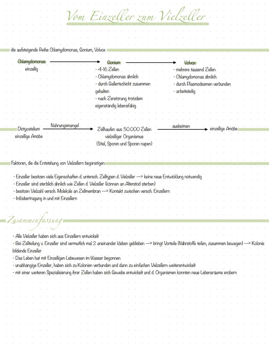 Inhali
S.2 Aufbau Tier- und Pflanzenzelle
S.3 Zellorganellen tierische & pflanzliche Zelle
S.4 Vergleich tierische & pflanzliche Zelle
S.5 K