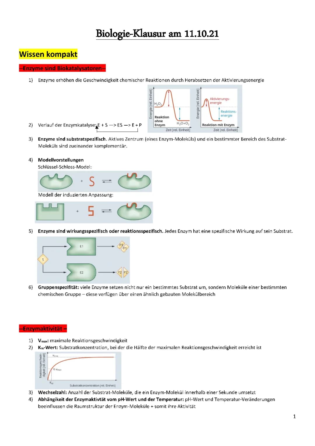 Stoffwechselbiologie - Enzyme - Biologie GK