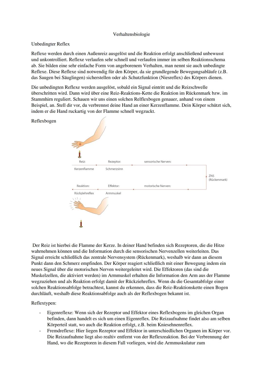 Verhaltensbiologie

Unbedingter Reflex

Reflexe werden durch einen Außenreiz ausgelöst und die Reaktion erfolgt anschließend unbewusst
und u