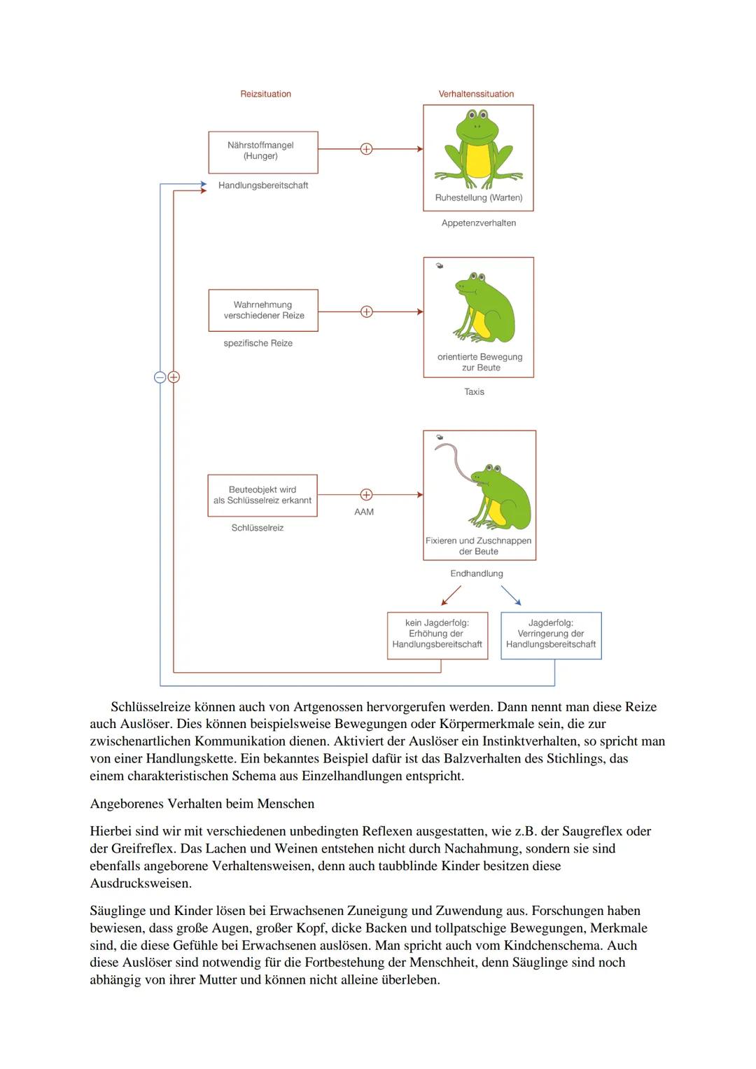 Verhaltensbiologie

Unbedingter Reflex

Reflexe werden durch einen Außenreiz ausgelöst und die Reaktion erfolgt anschließend unbewusst
und u