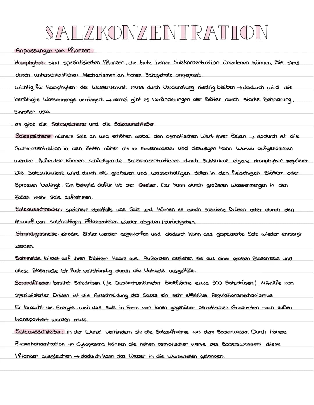 SALZKONZENTRATIONN
Anpassungen von Pflanzen:
Halophyten: sind spezialisierten Pflanzen, die trotz hoher Salzkonzentration überleben können. 