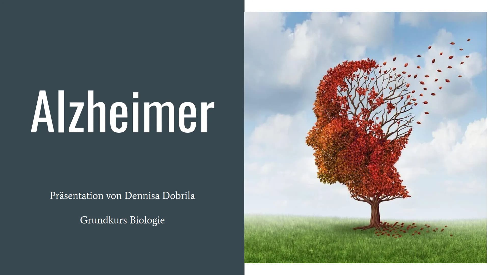 Alzheimer
Präsentation von Dennisa Dobrila
Grundkurs Biologie Gliederung
1. Alzheimer Forschung Initiative e.V.
2. Was ist Alzheimer?
3.
Ges