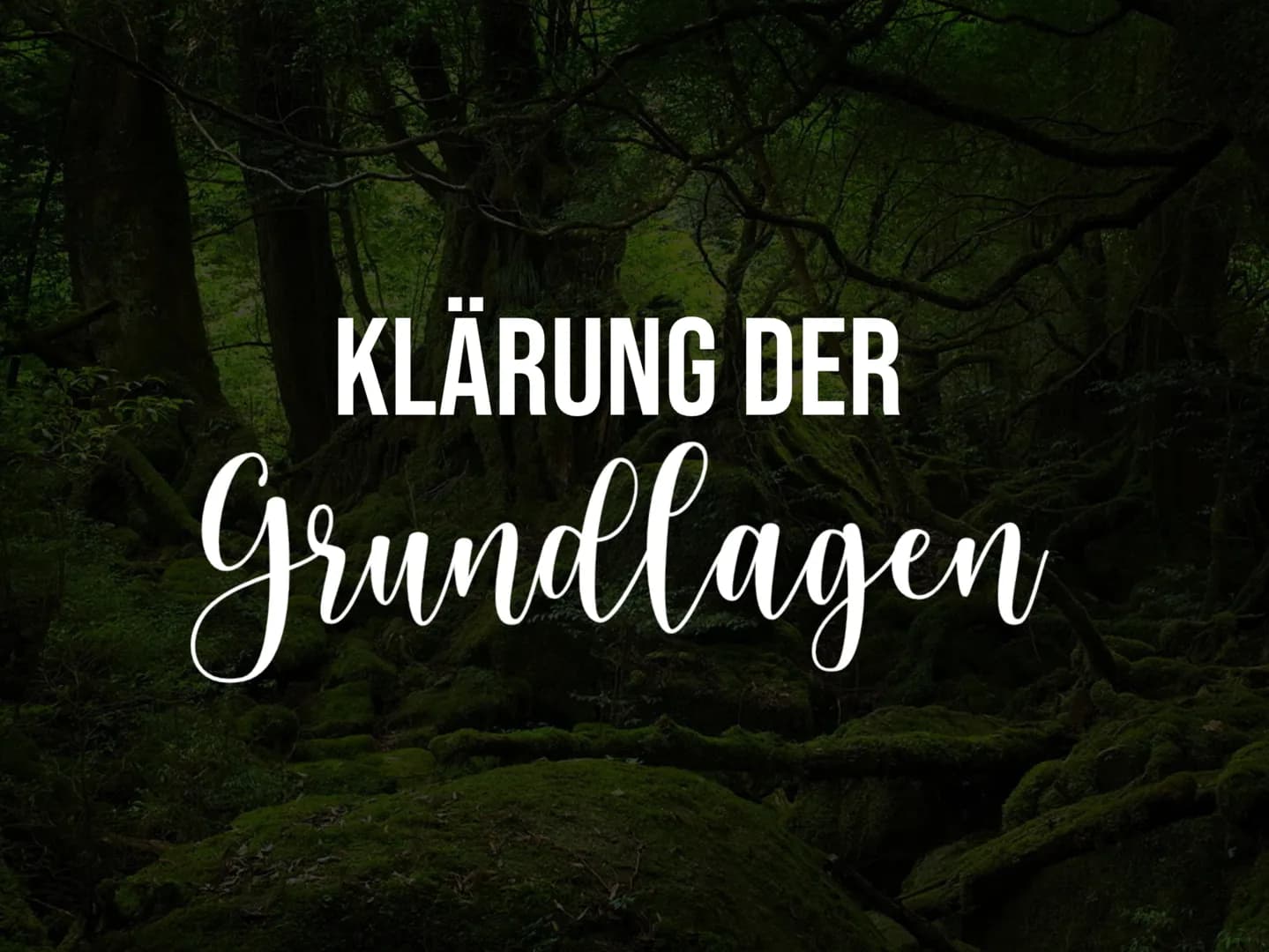 Alles über Sukzession: Definition, Phasen und Beispiele in der Ökologie