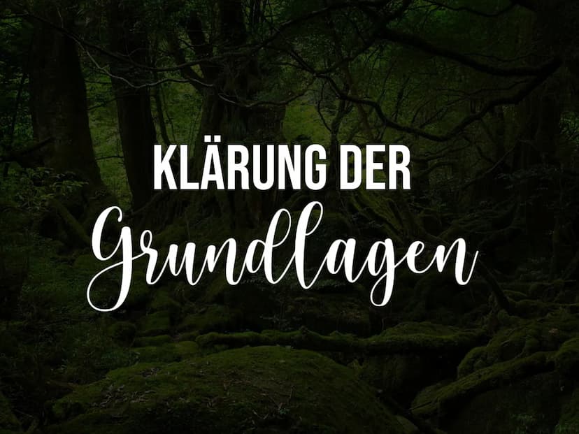 Sukzession GLIEDERUNG
1. KLÄRUNG DER GRUNDLAGEN
2. ERKLÄRUNG DES BEGRIFFS SUKZESSION
3. ARTEN DER SUKZESSION
4. ZEITLICHER ABLAUF DER SUKZES