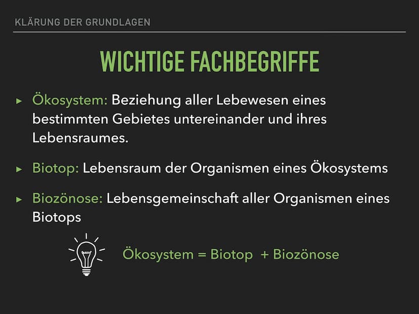 Sukzession GLIEDERUNG
1. KLÄRUNG DER GRUNDLAGEN
2. ERKLÄRUNG DES BEGRIFFS SUKZESSION
3. ARTEN DER SUKZESSION
4. ZEITLICHER ABLAUF DER SUKZES